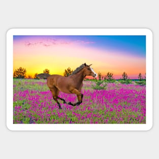 Chestnut Horse in Summer Meadow Magnet